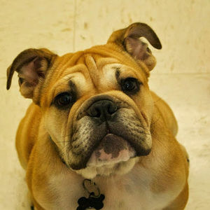 Meet your Posher, Edwin